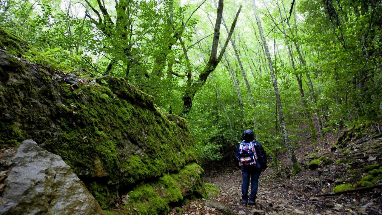 La Peonia In Montagna Prato Panorama Stupendo Sardegna Appartement Seùlo