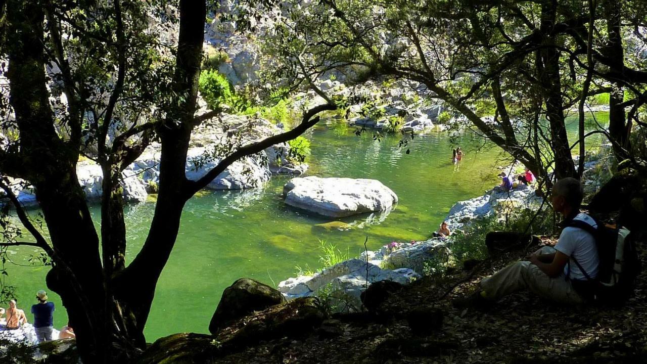 La Peonia In Montagna Prato Panorama Stupendo Sardegna *