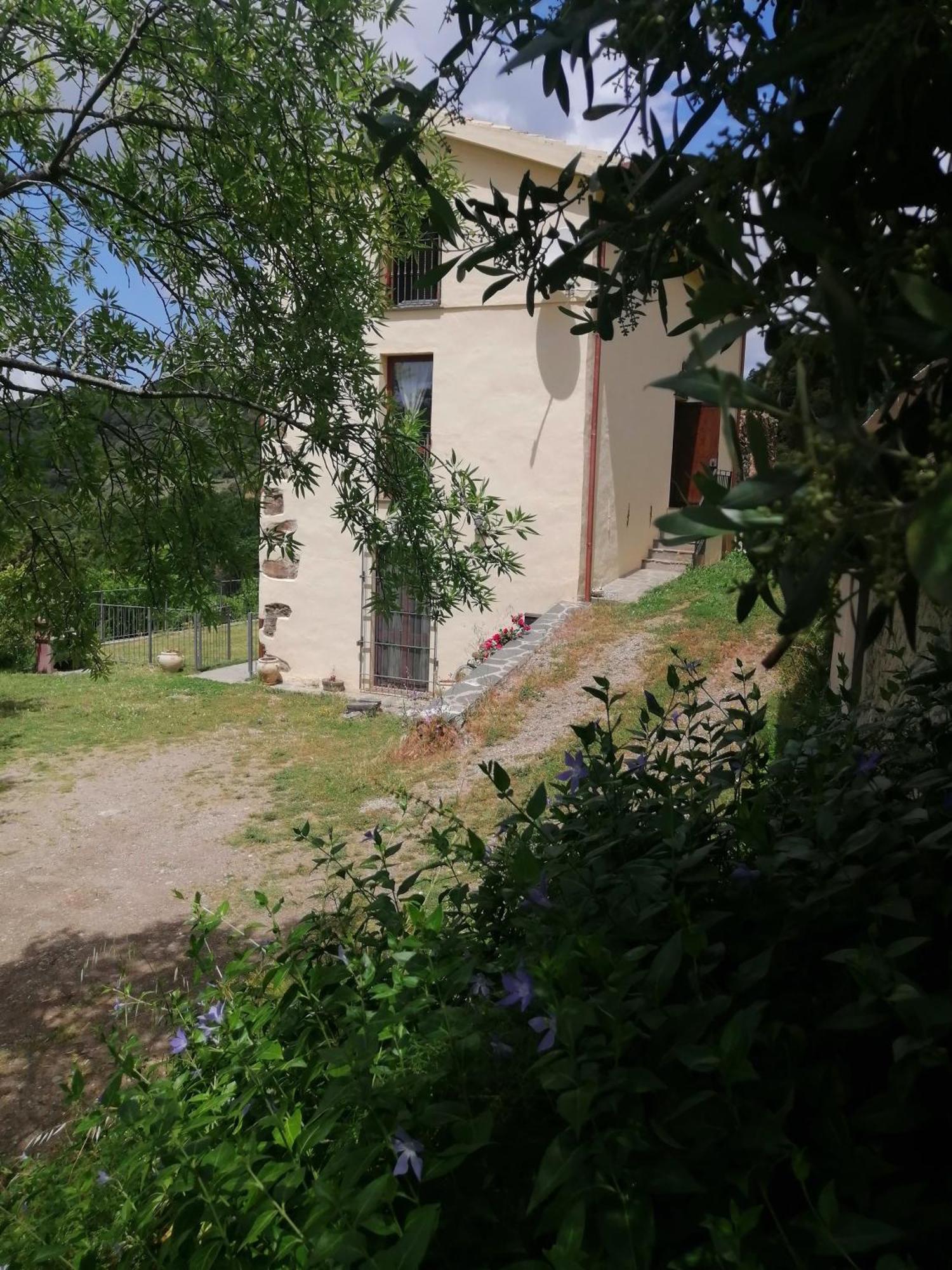 La Peonia In Montagna Prato Panorama Stupendo Sardegna Seulo