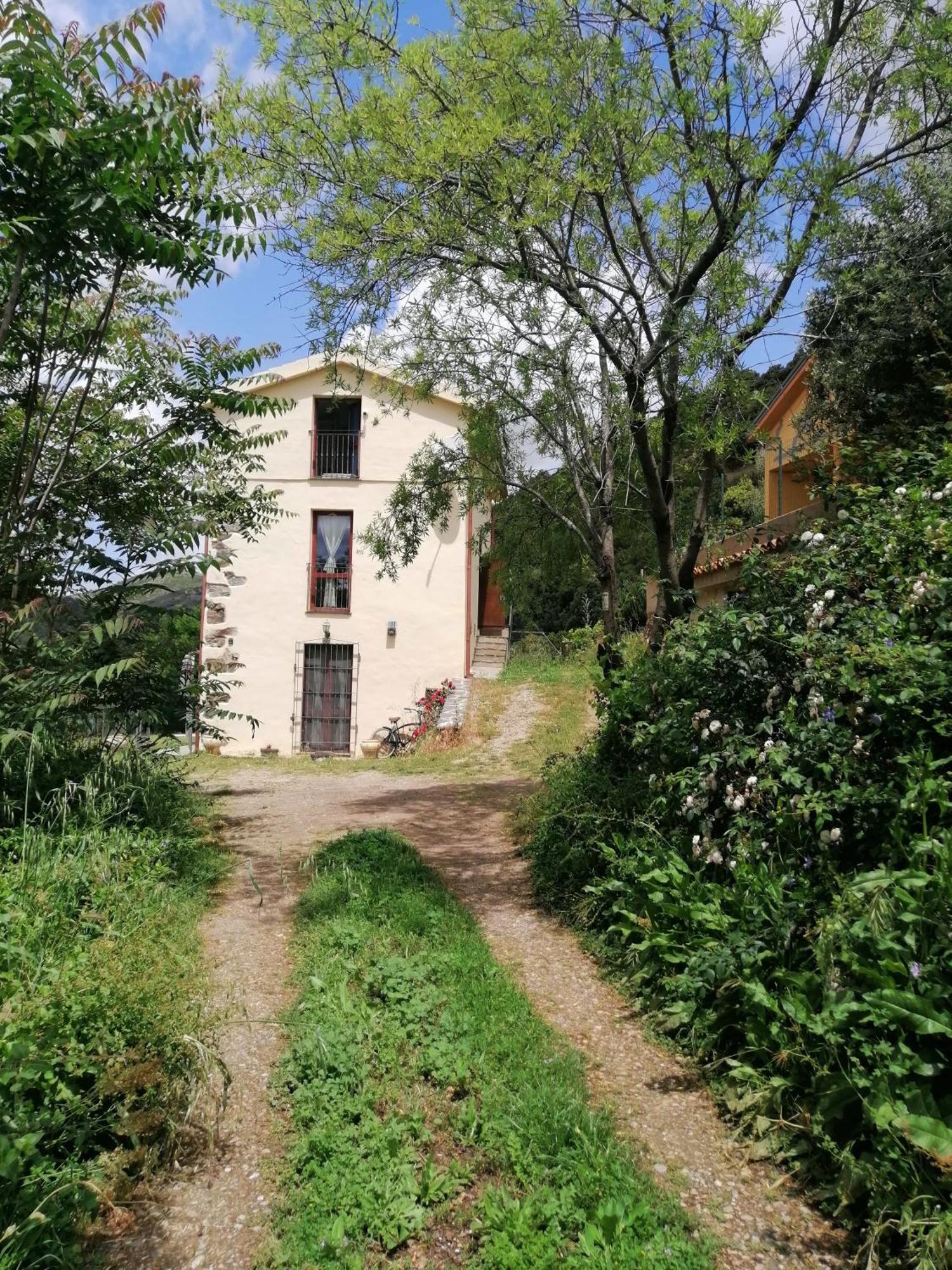 La Peonia In Montagna Prato Panorama Stupendo Sardegna * Seulo