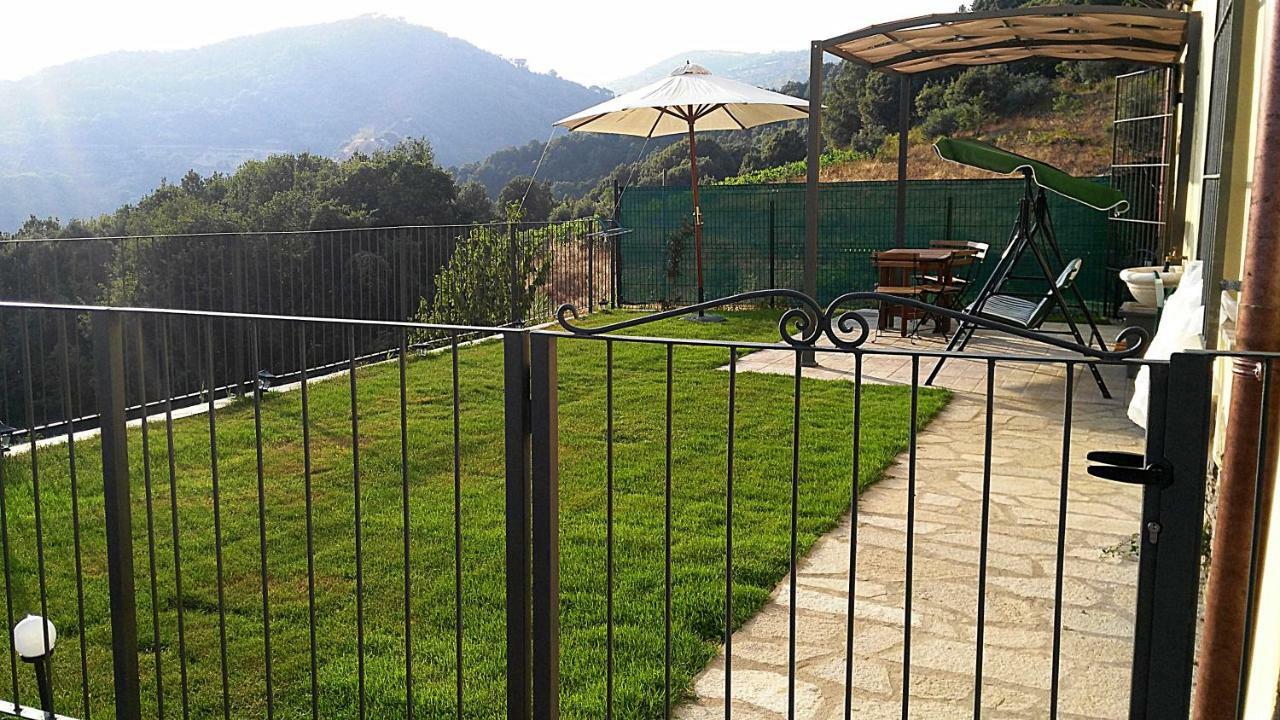 La Peonia In Montagna Prato Panorama Stupendo Sardegna * Seulo