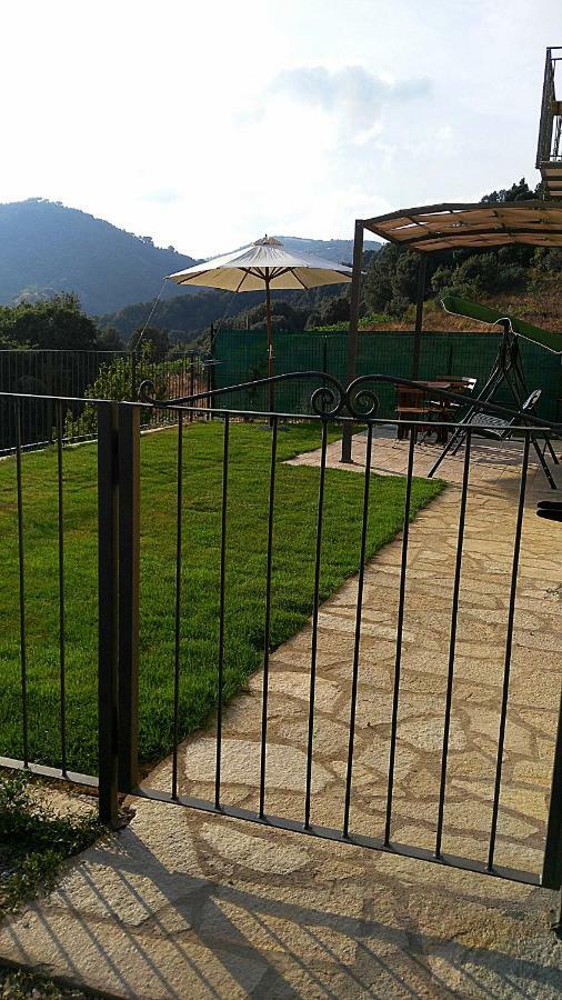 La Peonia In Montagna Prato Panorama Stupendo Sardegna