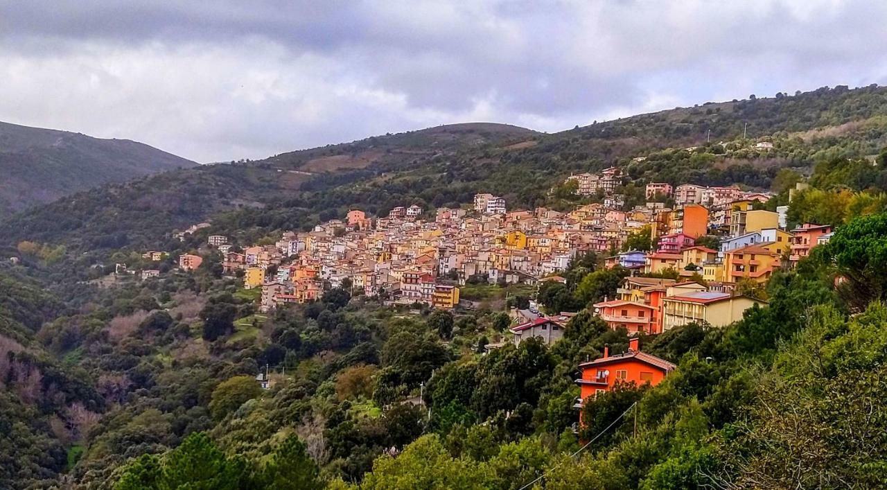 La Peonia In Montagna Prato Panorama Stupendo Sardegna *