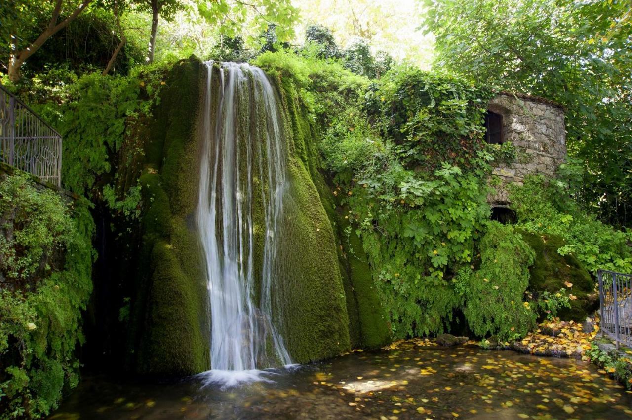 La Peonia In Montagna Prato Panorama Stupendo Sardegna Seùlo