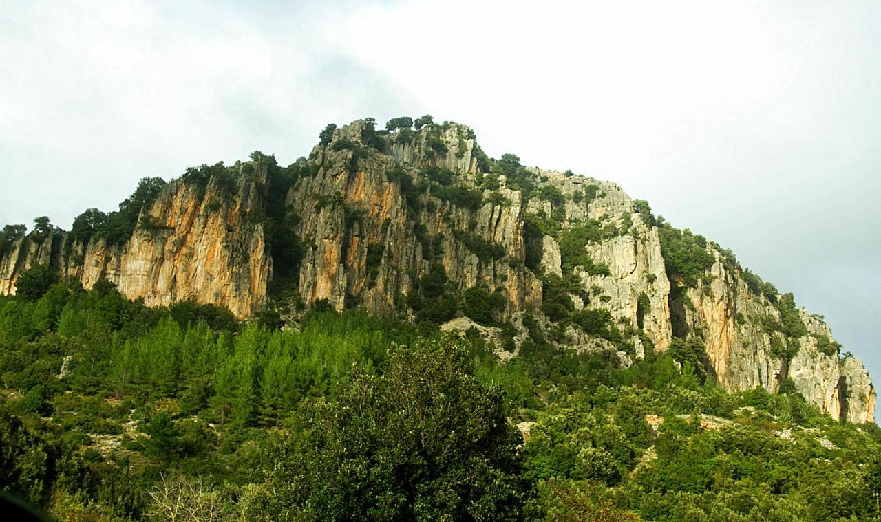 La Peonia In Montagna Prato Panorama Stupendo Sardegna *